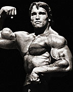 Arnold Schwarzenegger